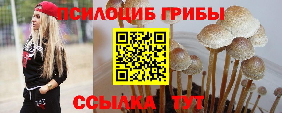ГАШ Светлоград